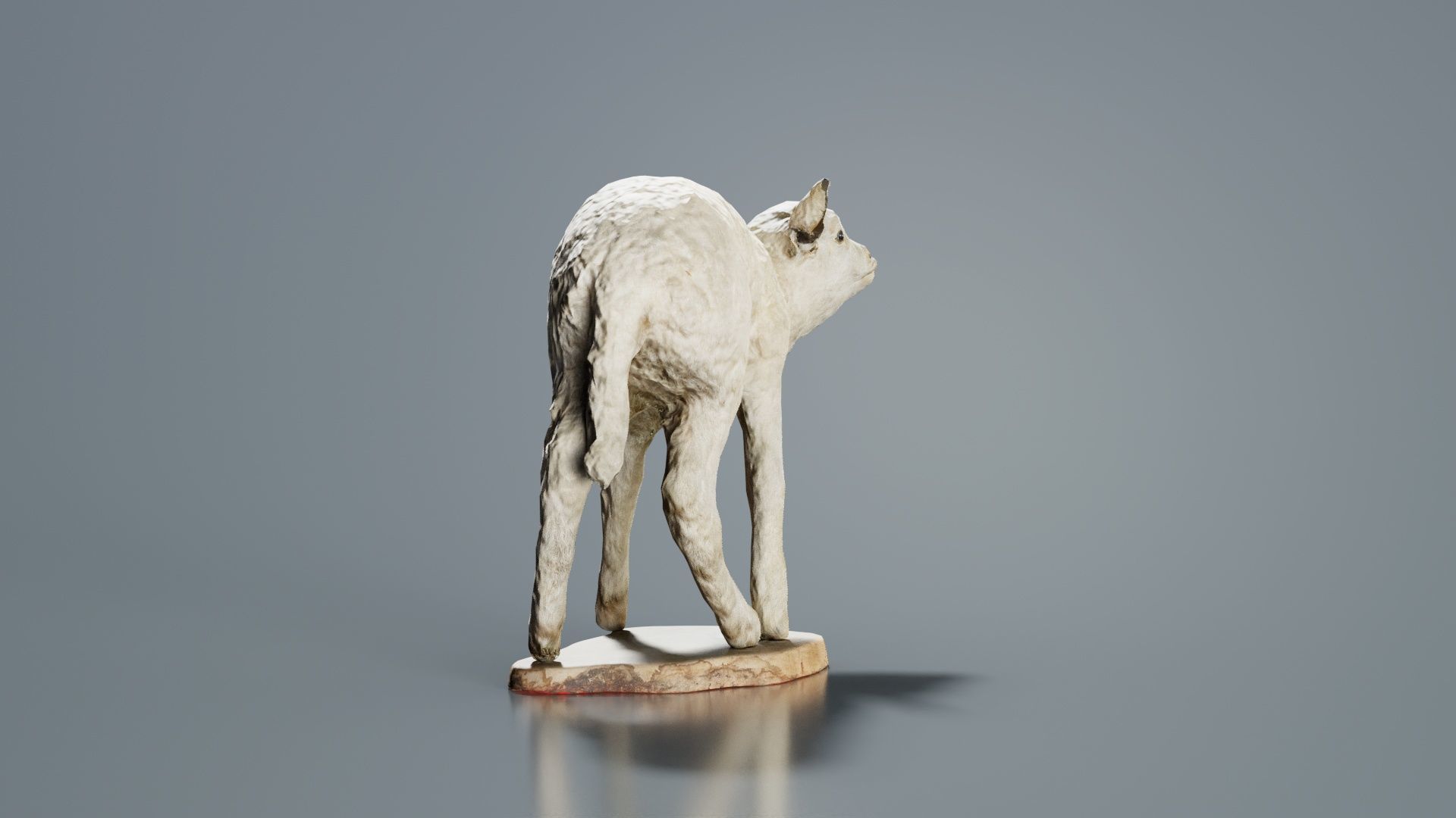 Lamb Mutton Low-poly 3D model_1