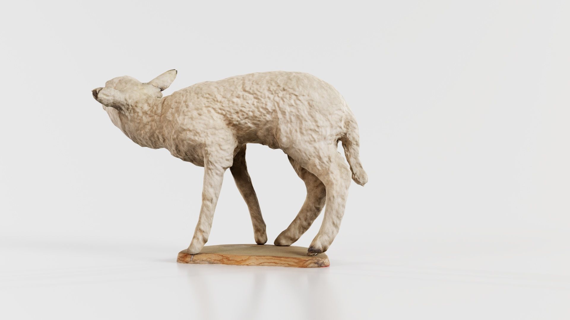 Lamb Mutton Low-poly 3D model_2