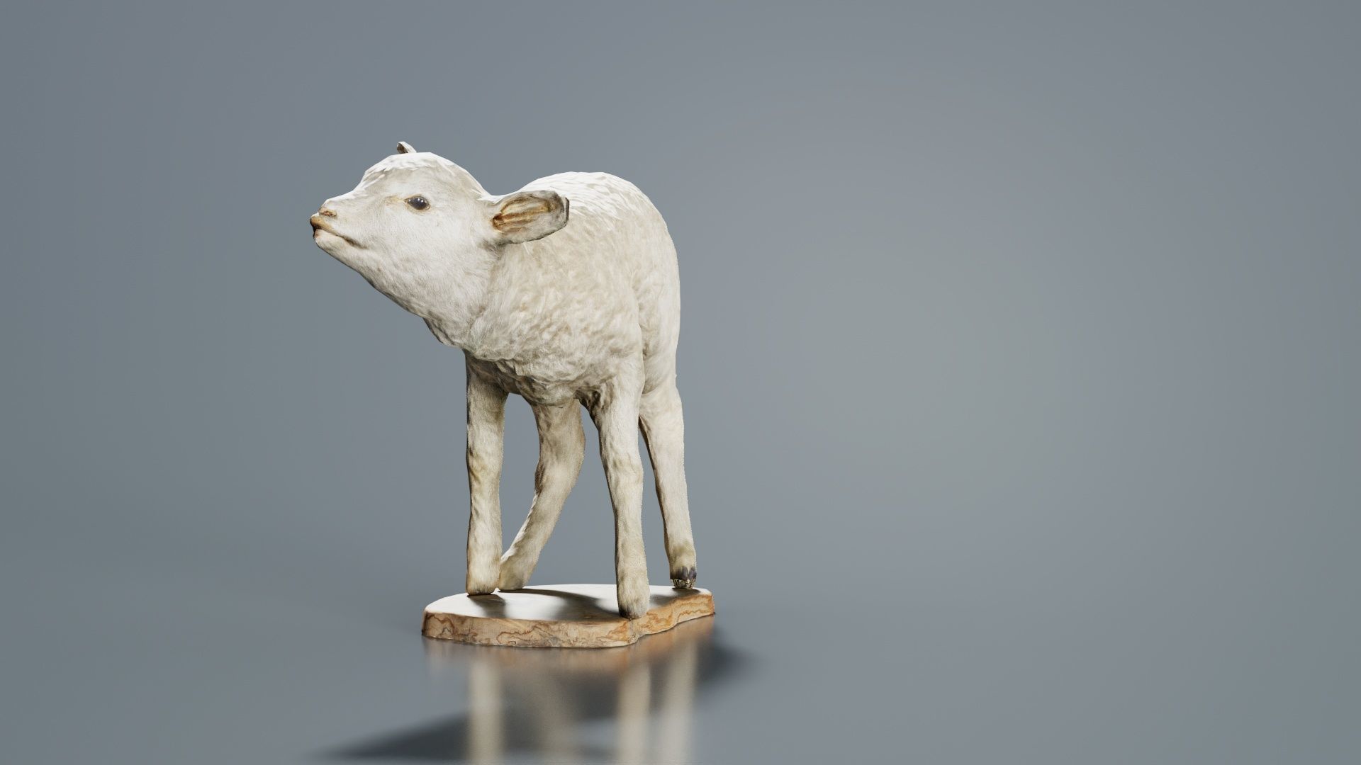 Lamb Mutton Low-poly 3D model_6