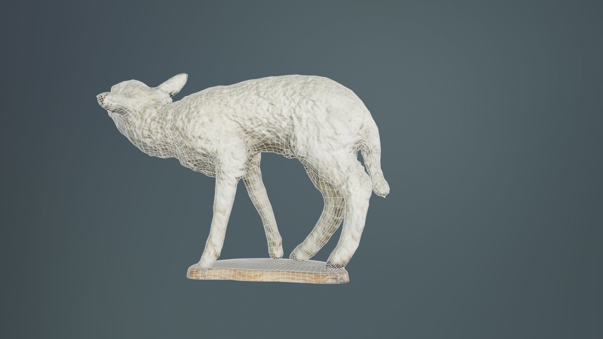 Lamb Mutton Low-poly 3D model_10