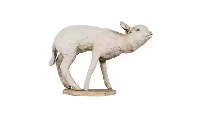Lamb Mutton Low-poly 3D model