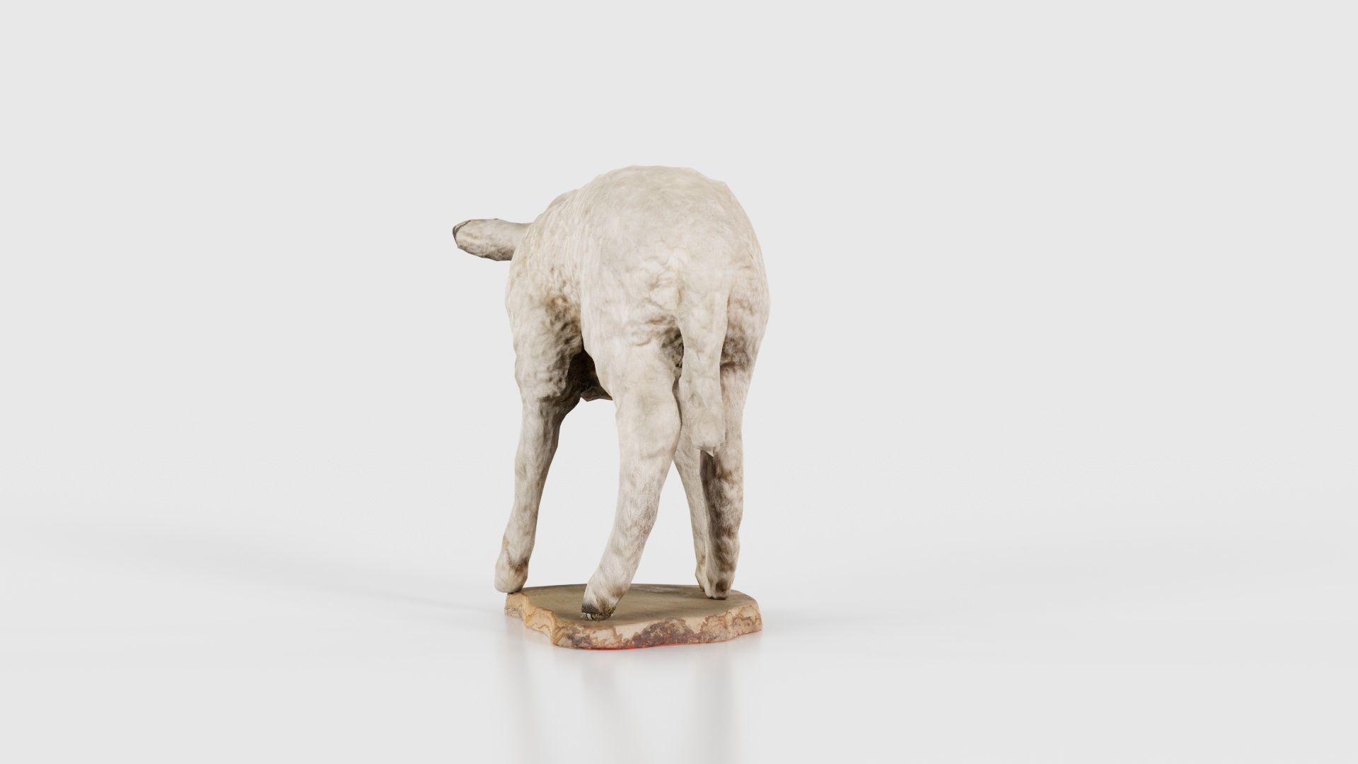 Lamb Mutton Low-poly 3D model_19