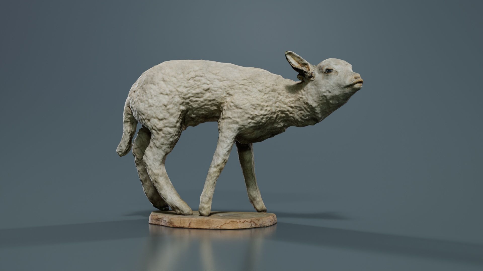 Lamb Mutton Low-poly 3D model_3