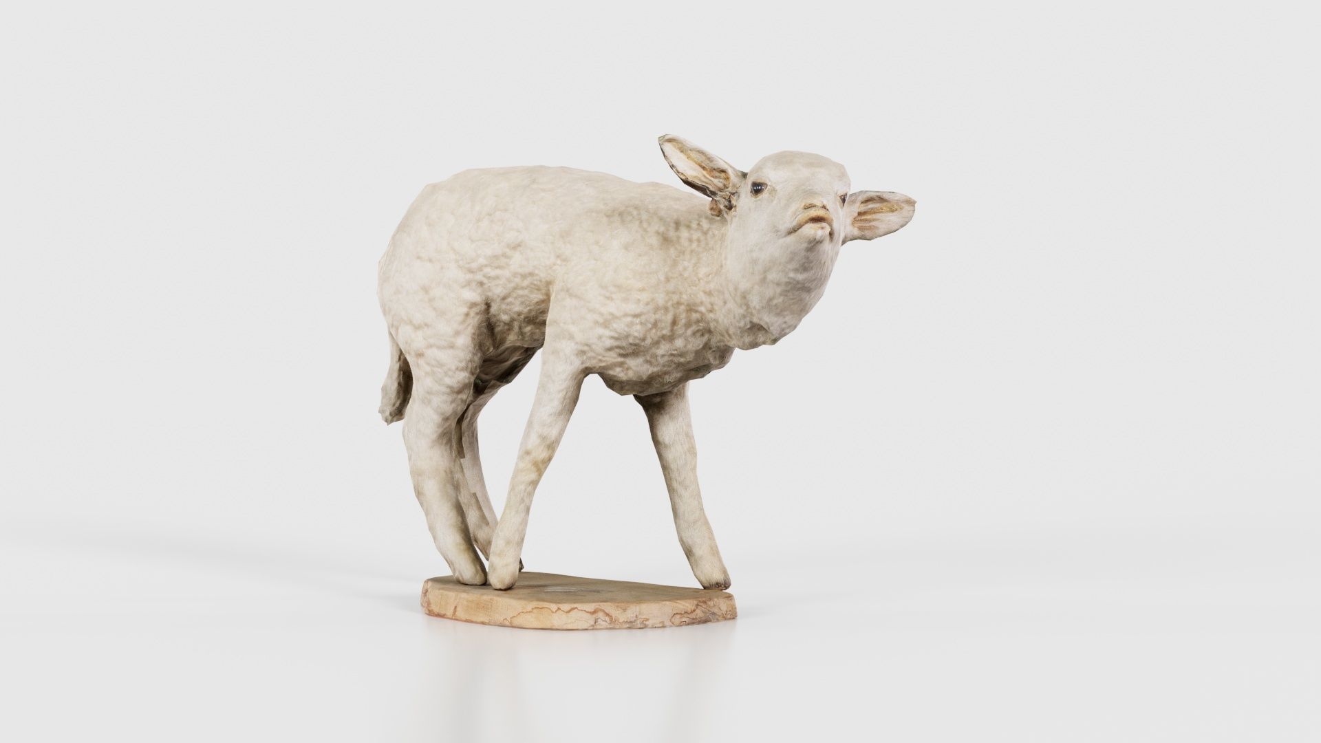 Lamb Mutton Low-poly 3D model_26