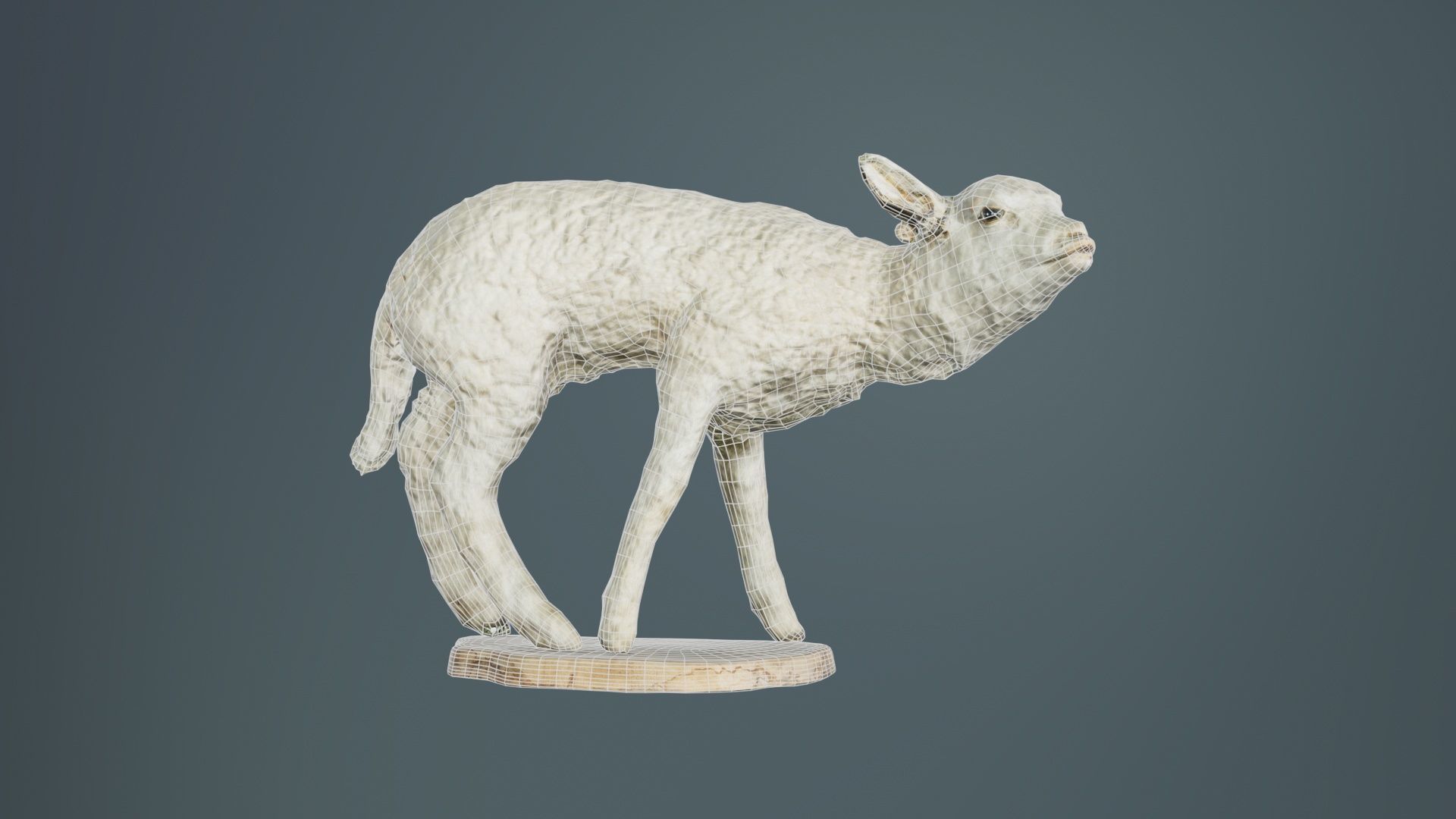 Lamb Mutton Low-poly 3D model_9