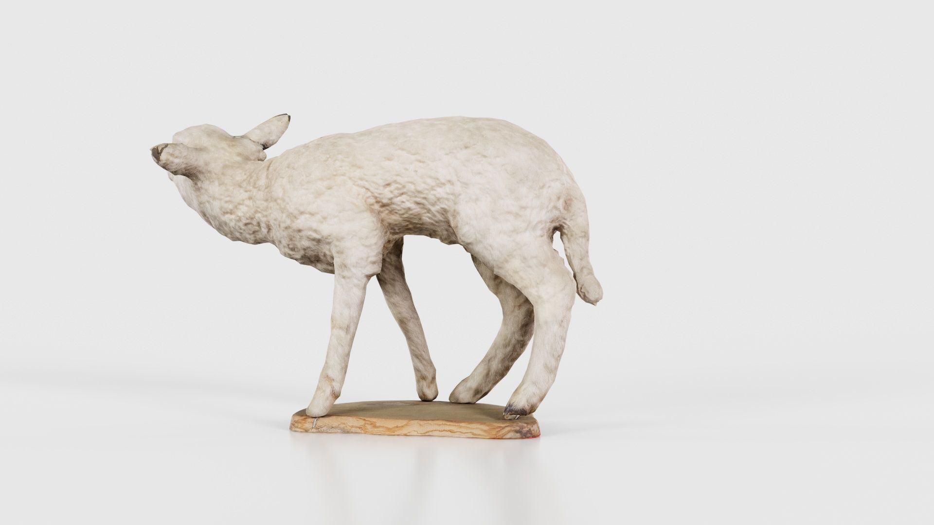 Lamb Mutton Low-poly 3D model_21