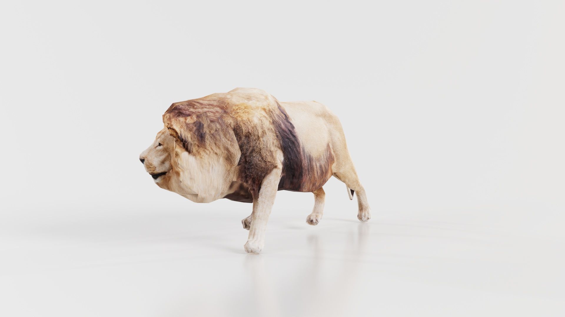 Lion Low-poly 3D model_4