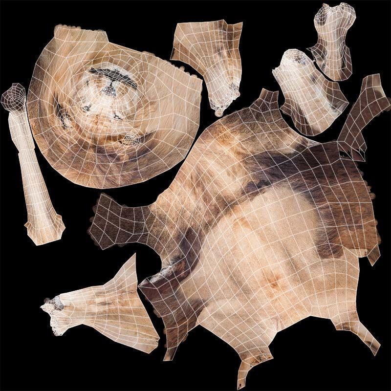 Lion Low-poly 3D model_14