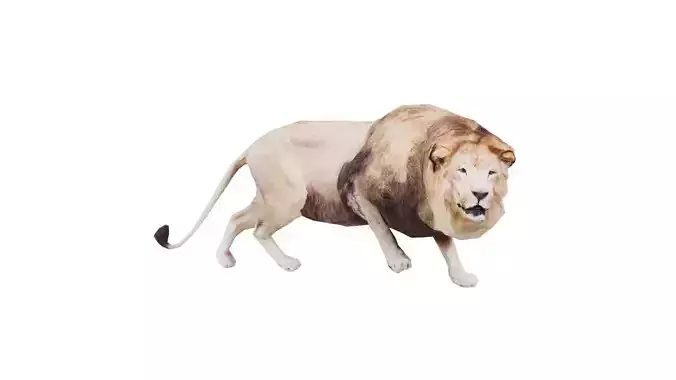 Lion Low-poly 3D model