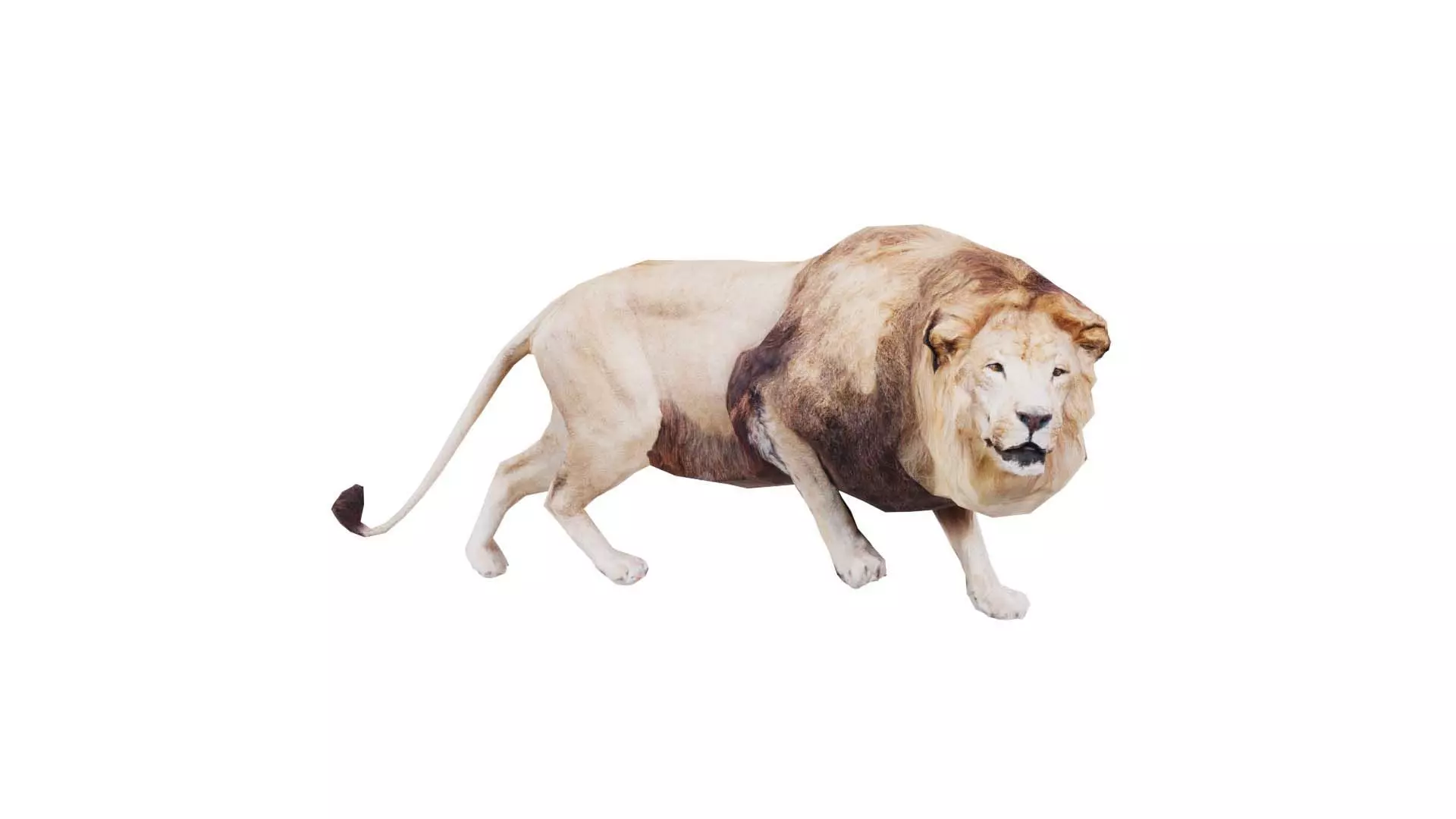 Lion Low-poly 3D model_0