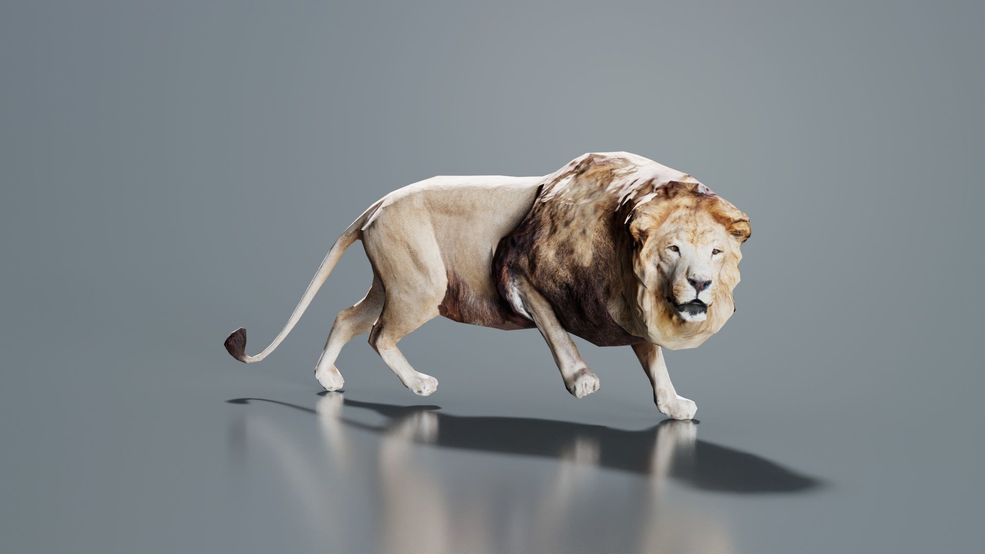 Lion Low-poly 3D model_1