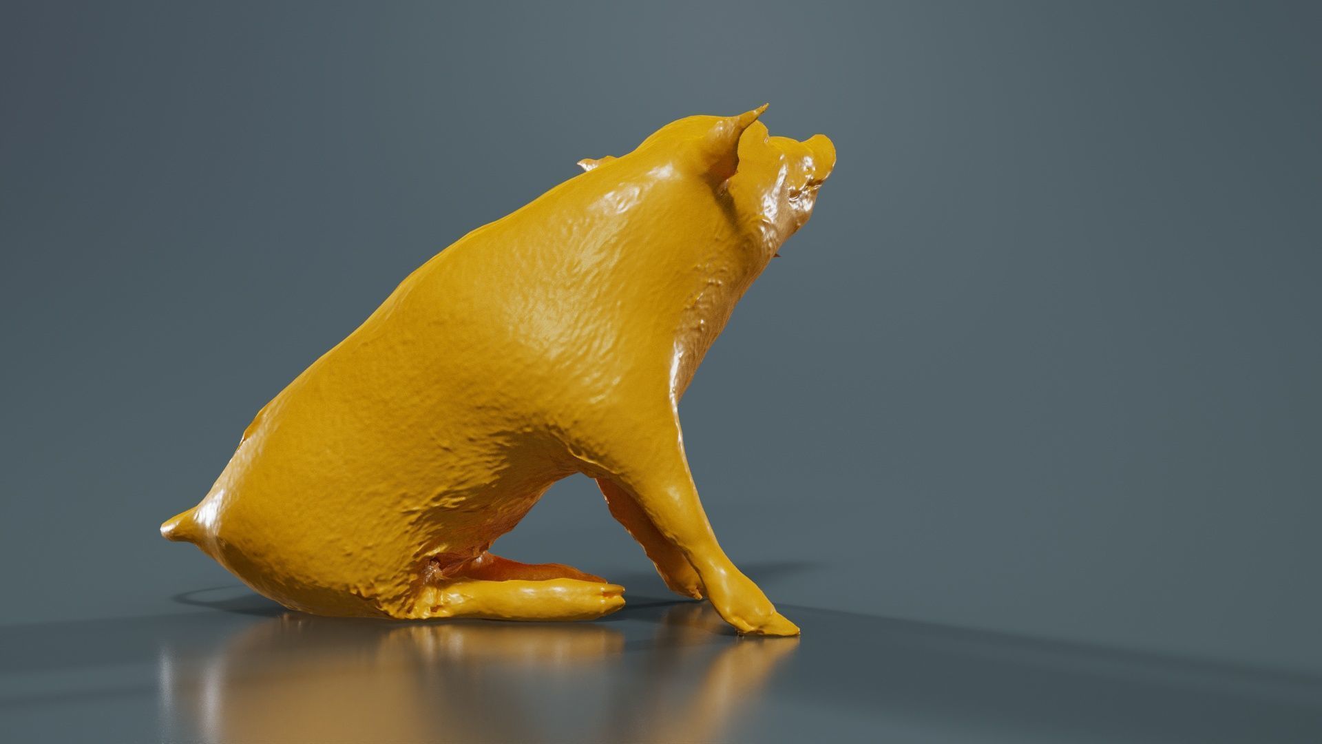 Red River Hog Pig Potamochoerus Porcus Low-poly 3D model_13