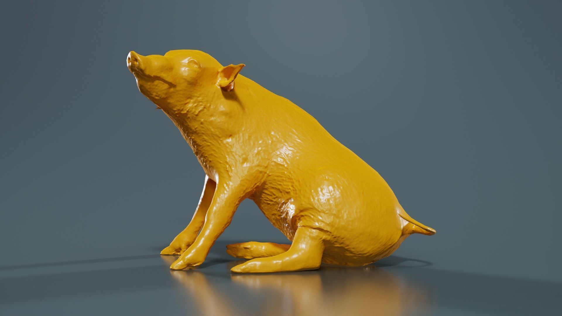Red River Hog Pig Potamochoerus Porcus Low-poly 3D model_12
