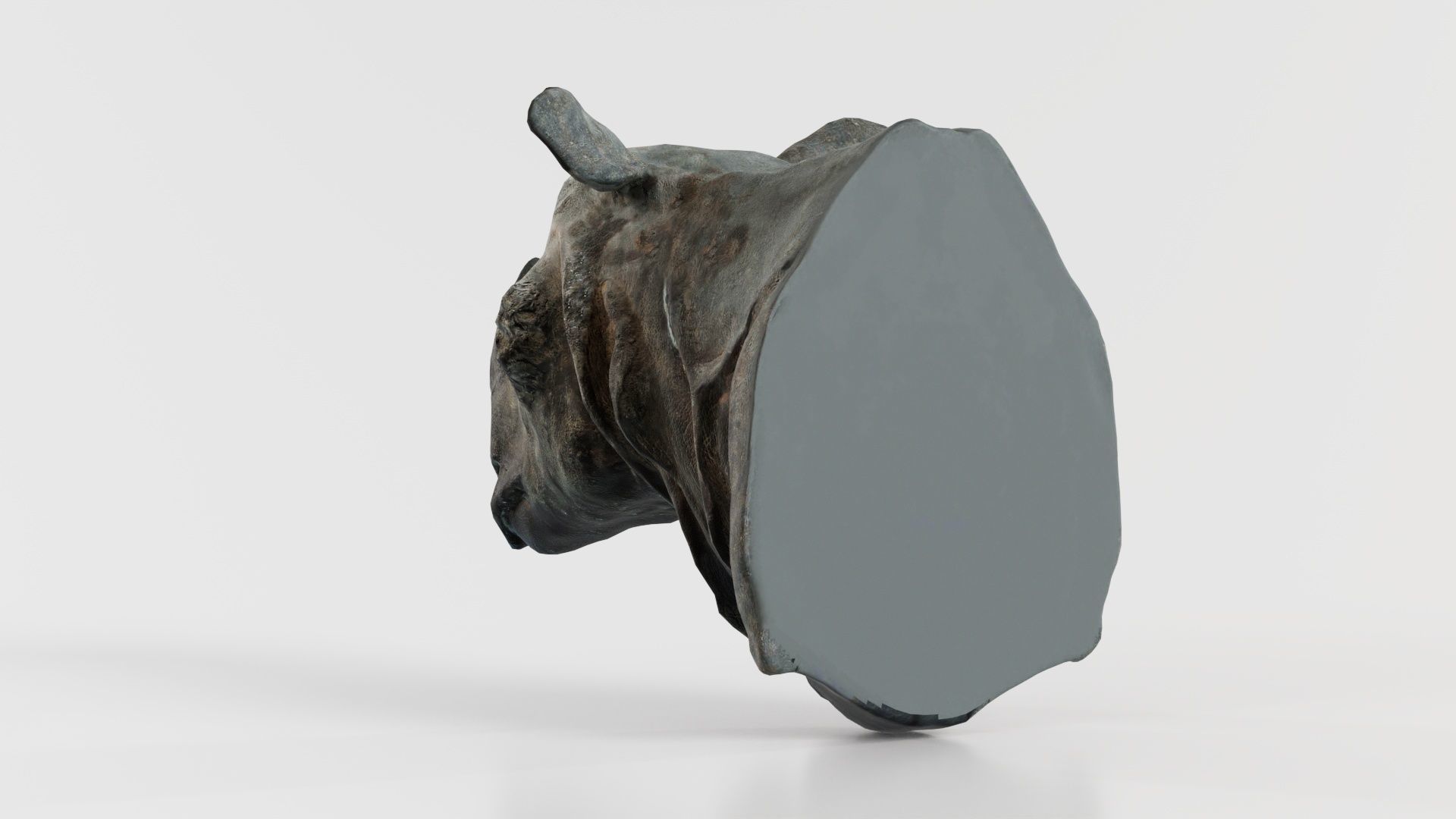 Rhino Head Low-poly 3D model_2