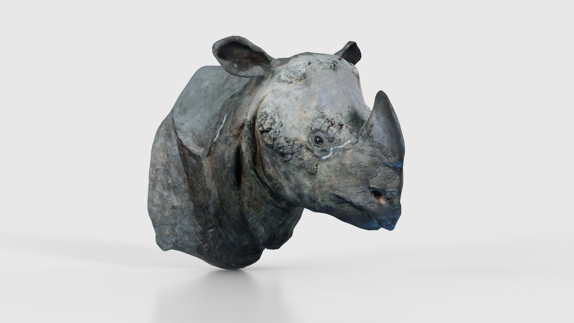 Rhino Head Low-poly 3D model_18