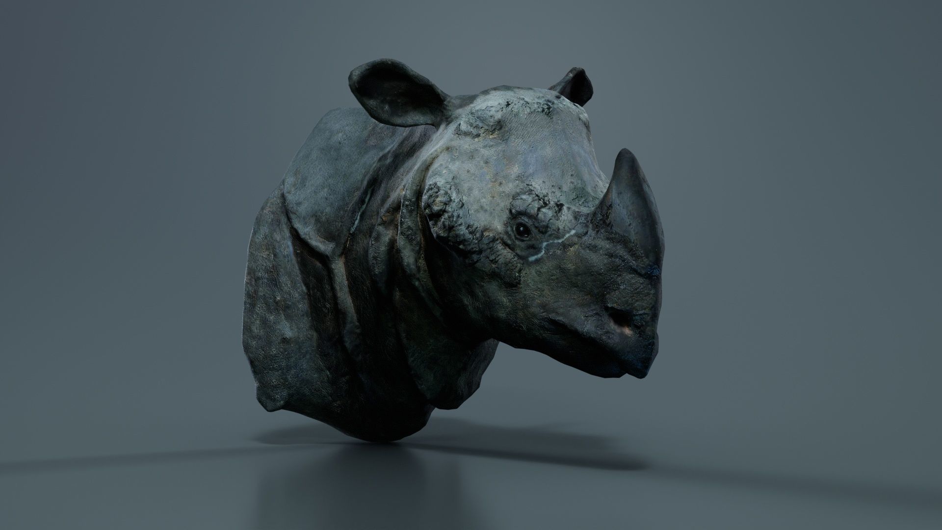 Rhino Head Low-poly 3D model_3