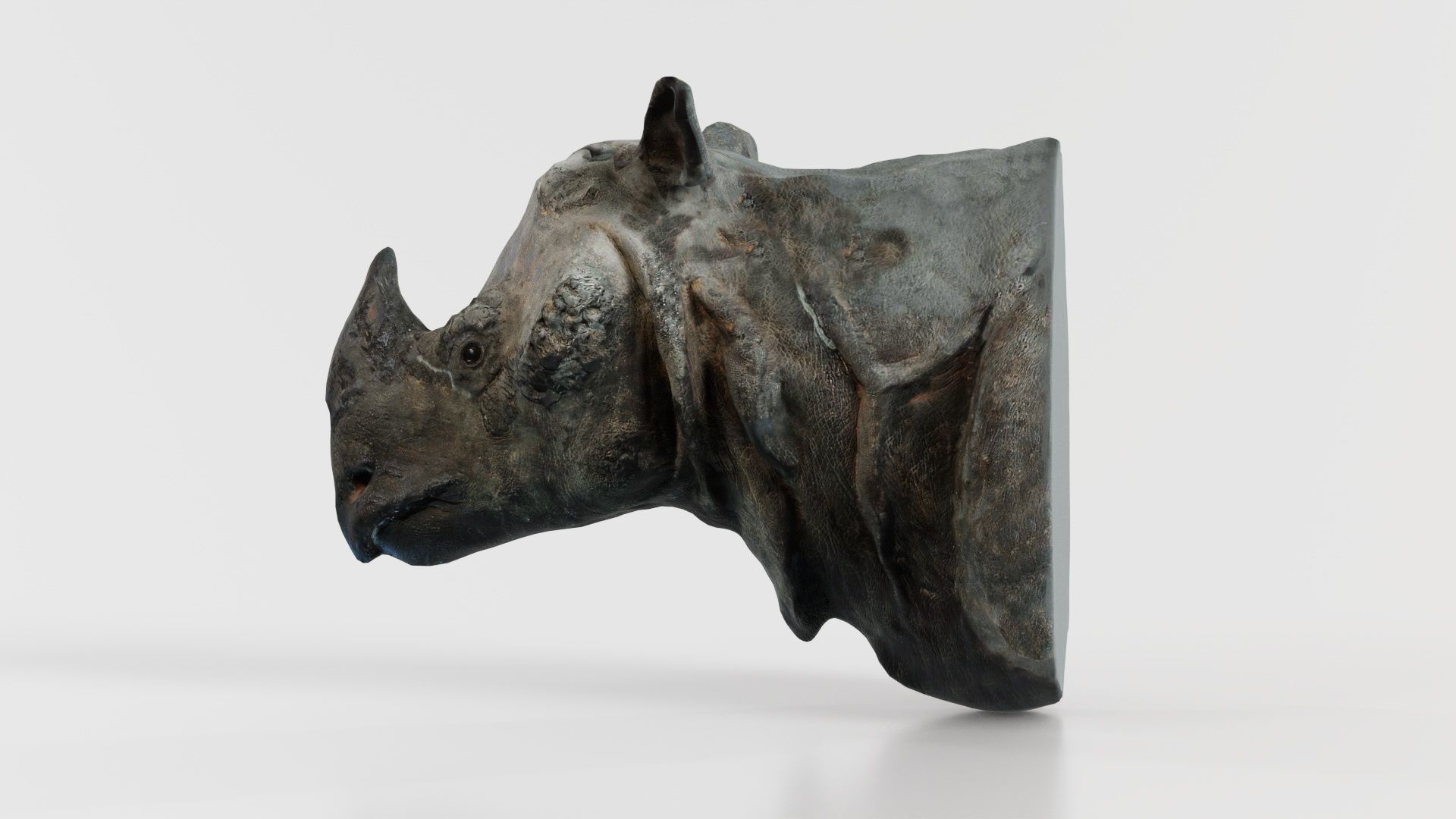 Rhino Head Low-poly 3D model_7