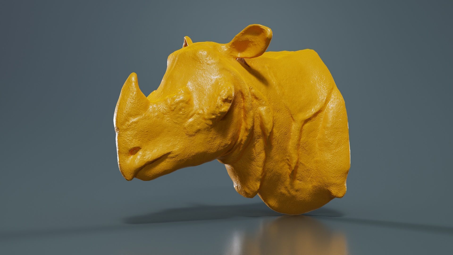 Rhino Head Low-poly 3D model_12