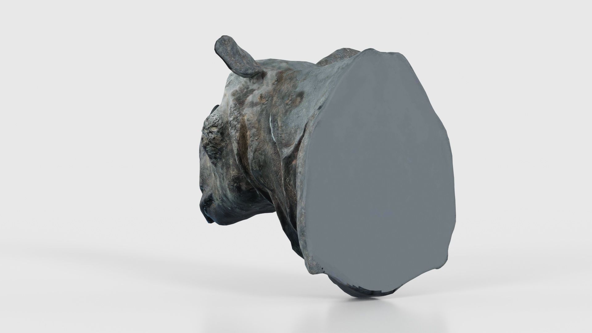 Rhino Head Low-poly 3D model_24