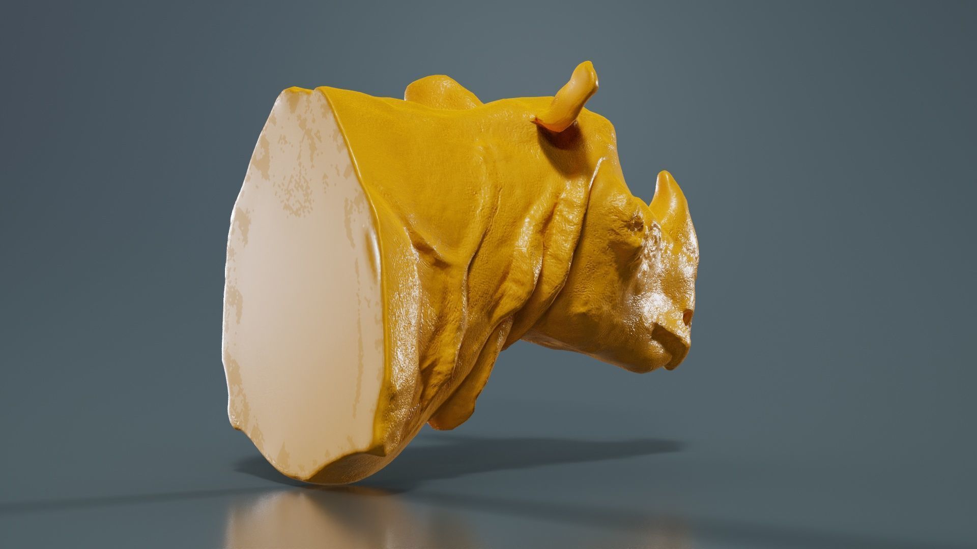 Rhino Head Low-poly 3D model_13