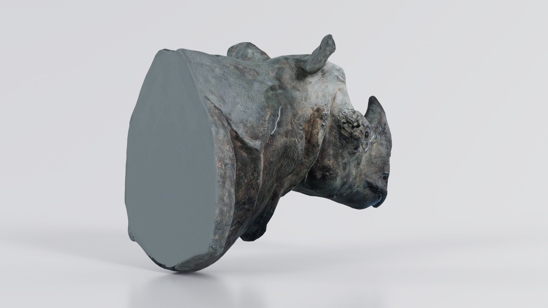 Rhino Head Low-poly 3D model_8