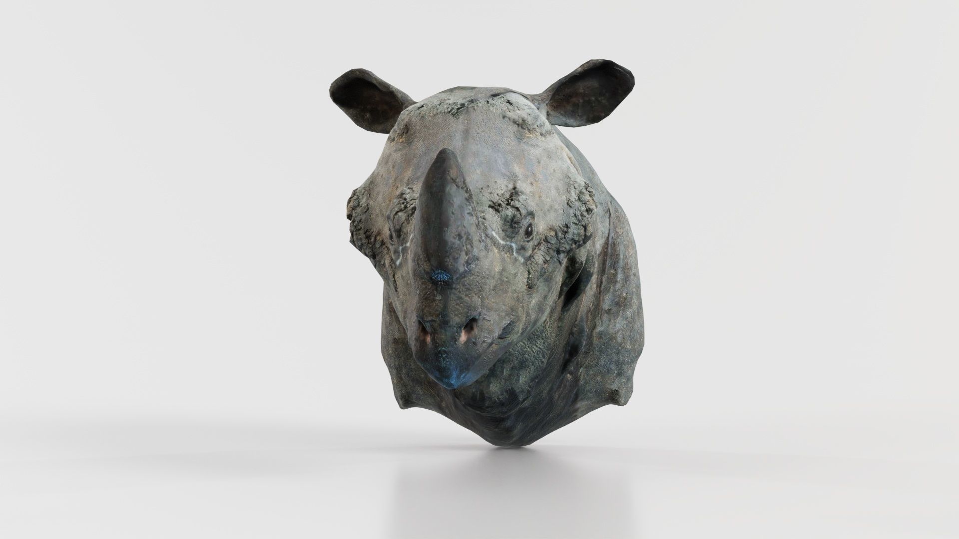 Rhino Head Low-poly 3D model_5