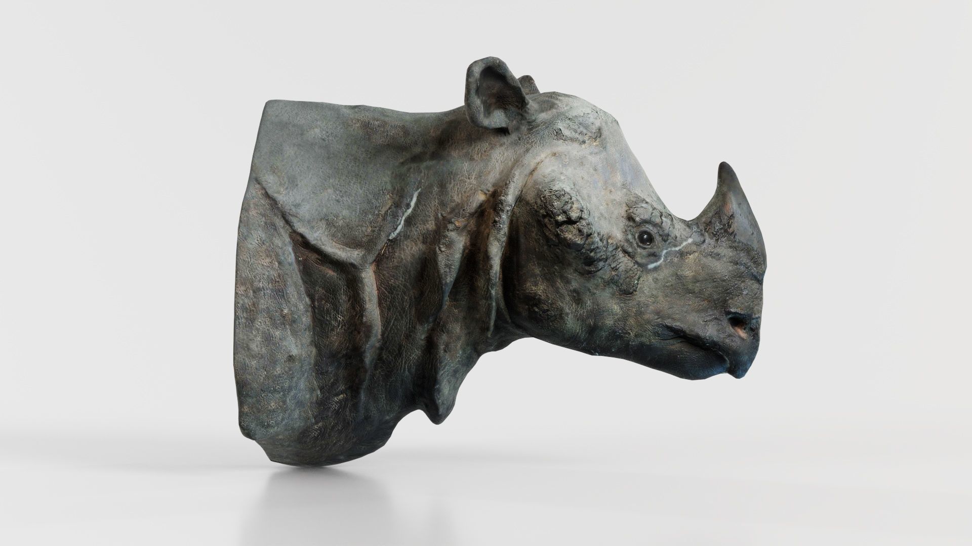Rhino Head Low-poly 3D model_4