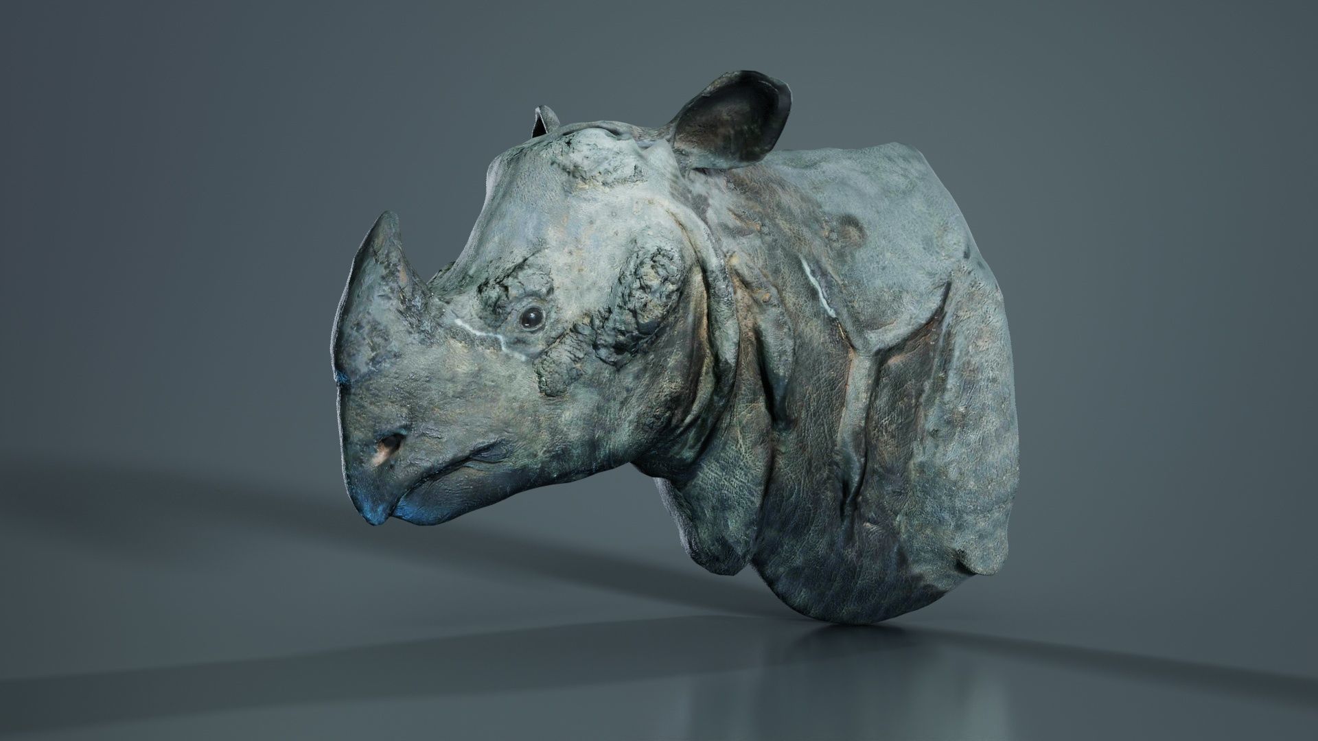 Rhino Head Low-poly 3D model_1
