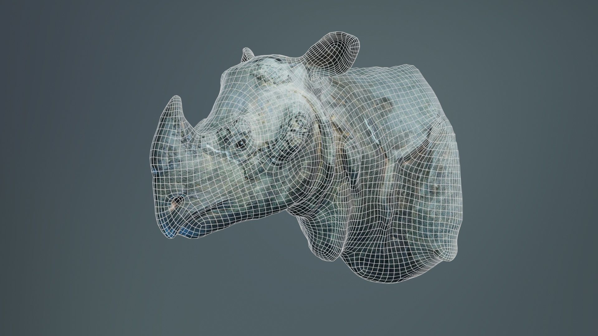 Rhino Head Low-poly 3D model_9