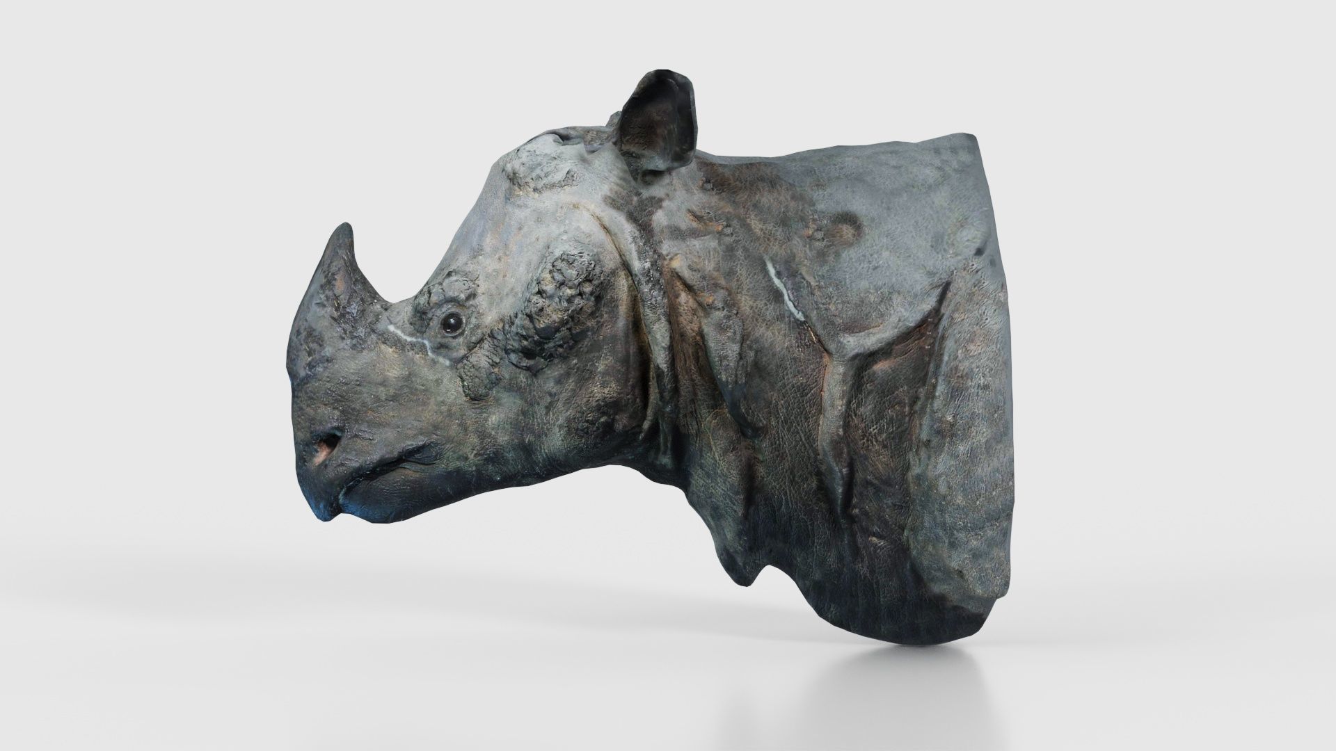 Rhino Head Low-poly 3D model_26