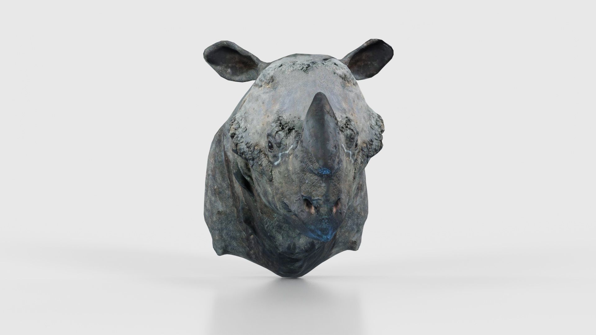 Rhino Head Low-poly 3D model_17