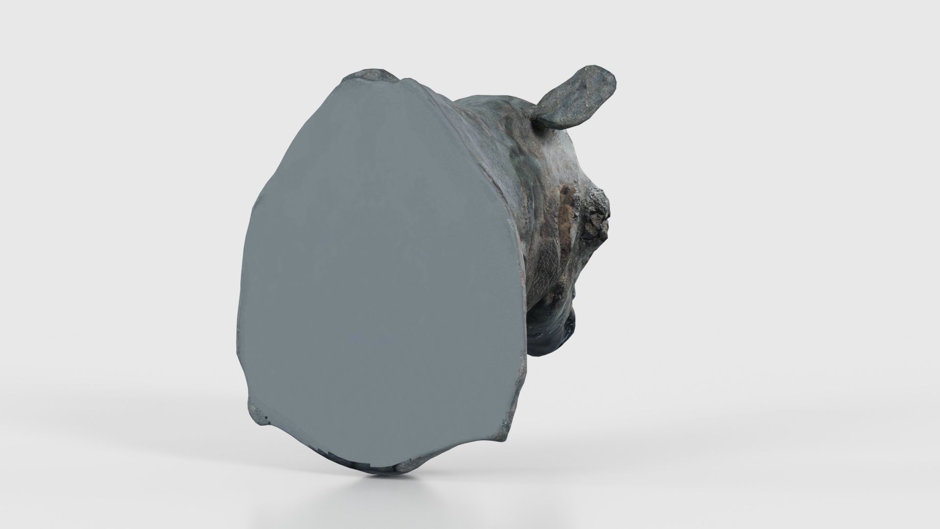 Rhino Head Low-poly 3D model_22
