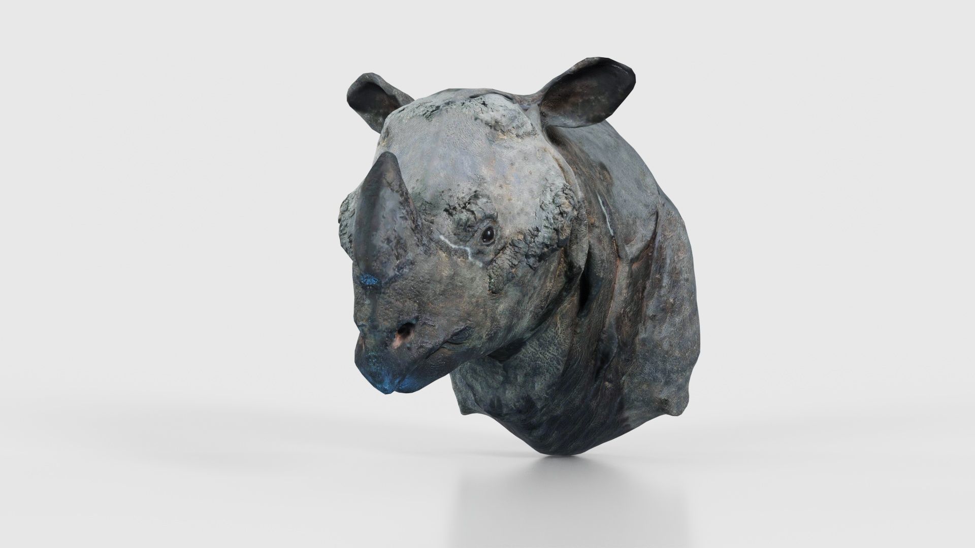 Rhino Head Low-poly 3D model_16