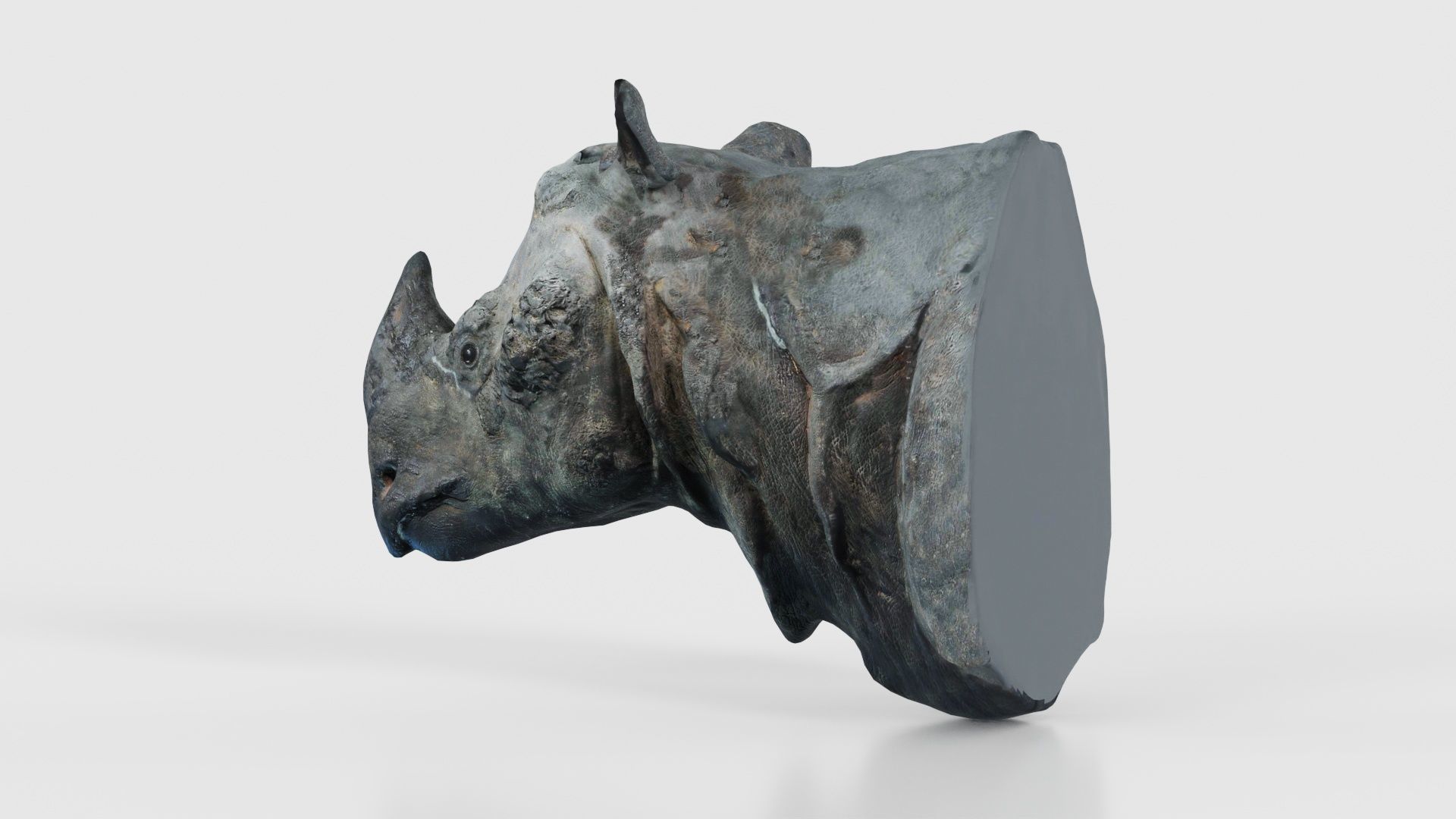Rhino Head Low-poly 3D model_25