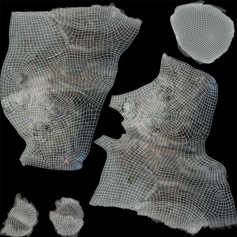 Rhino Head Low-poly 3D model_14