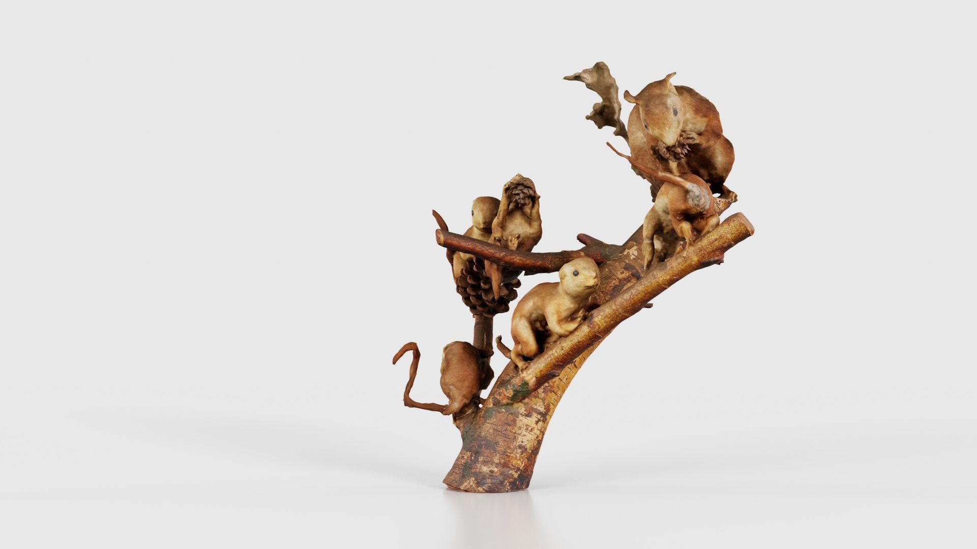 Squirrels on Branch Low-poly 3D model_25