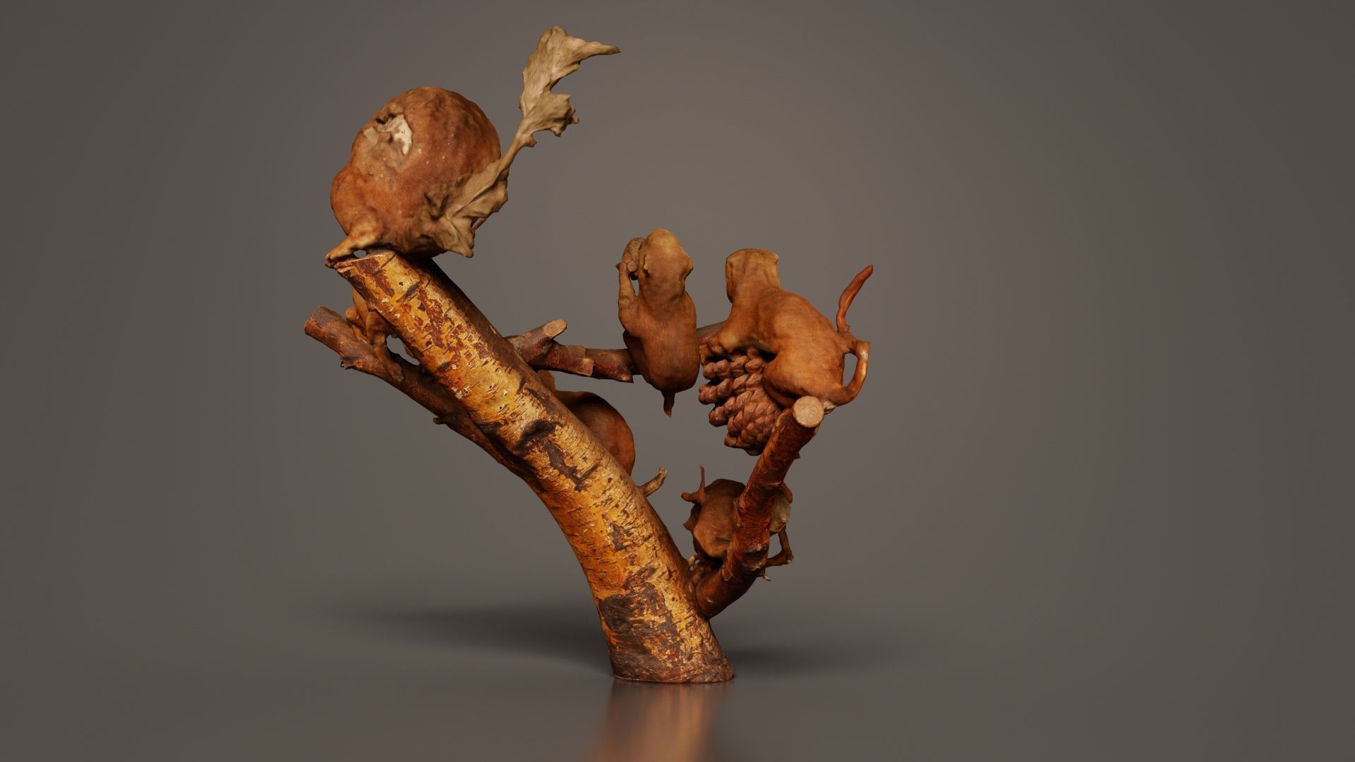 Squirrels on Branch Low-poly 3D model_8