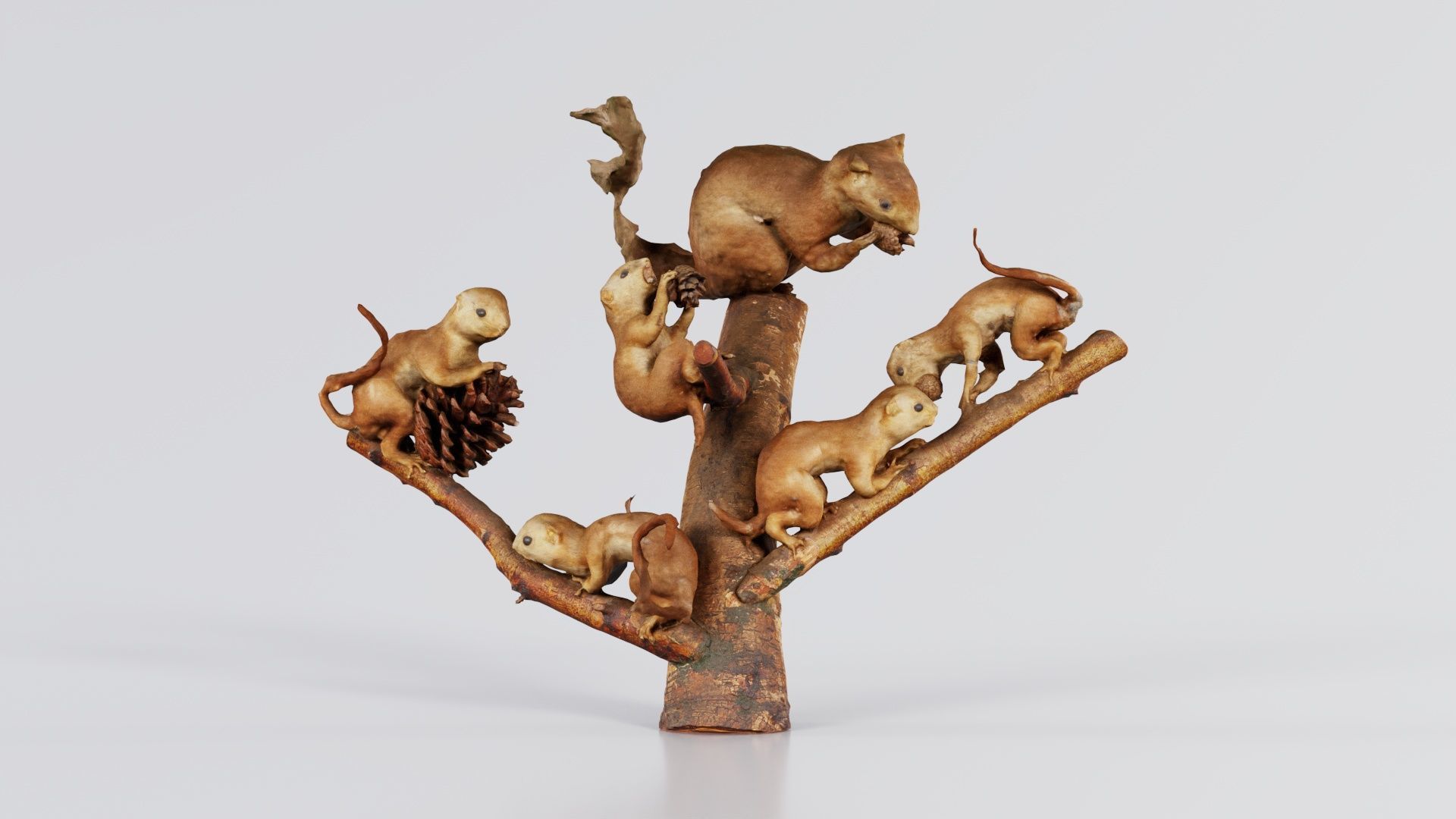 Squirrels on Branch Low-poly 3D model_2