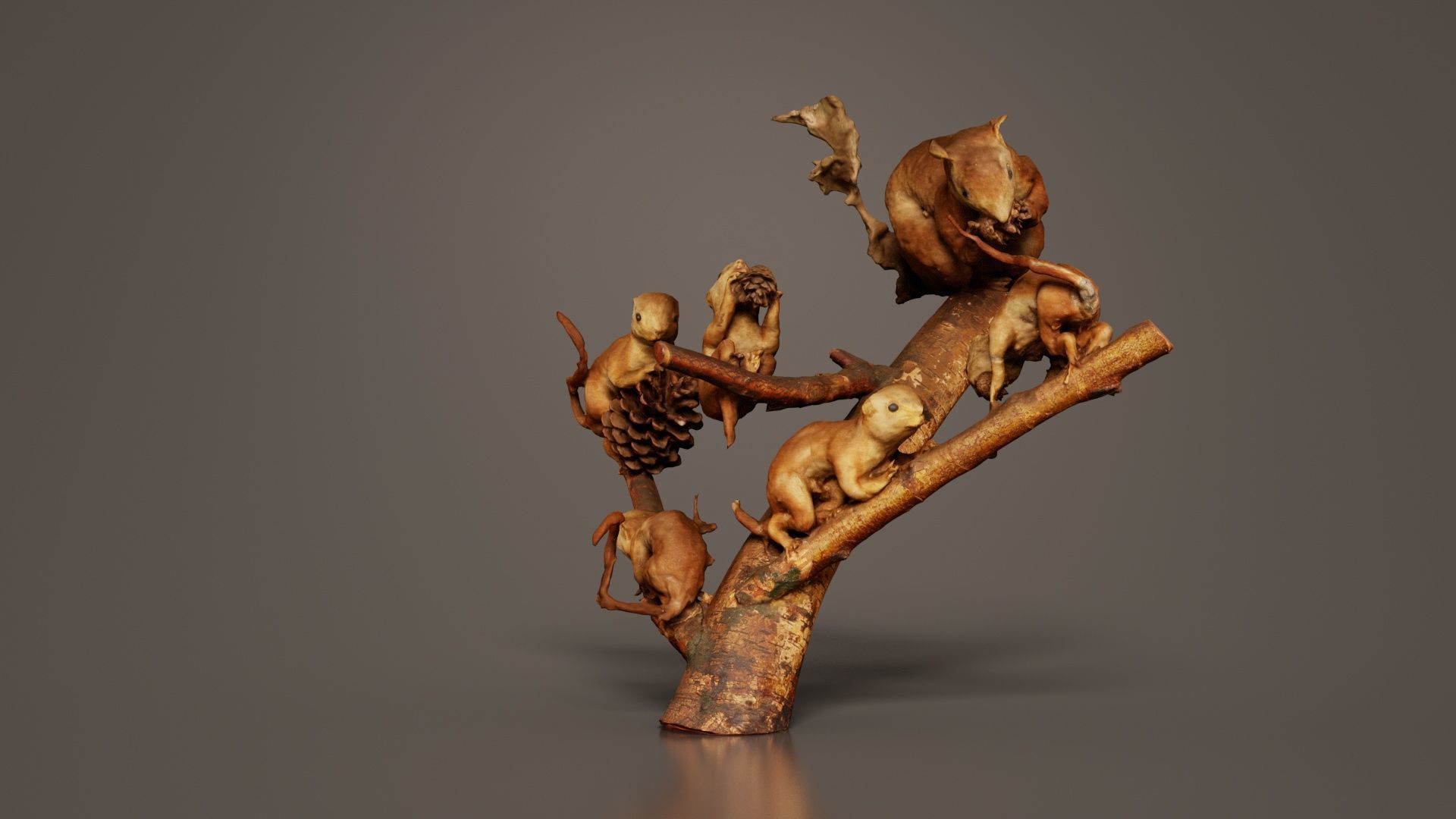 Squirrels on Branch Low-poly 3D model_4