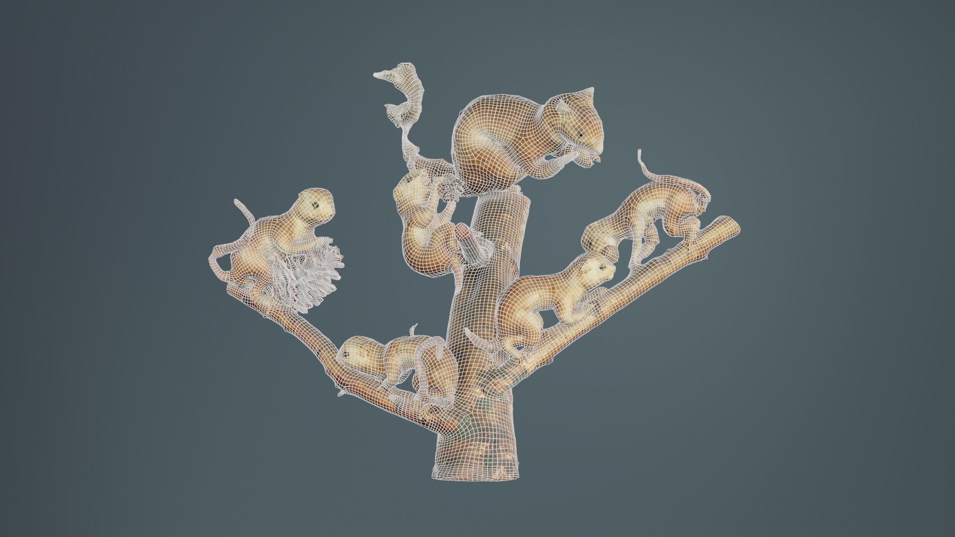 Squirrels on Branch Low-poly 3D model_9