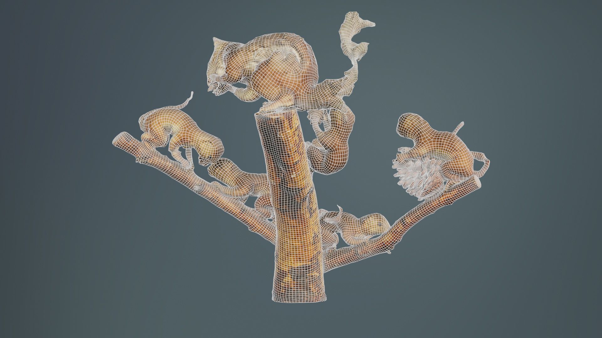 Squirrels on Branch Low-poly 3D model_10