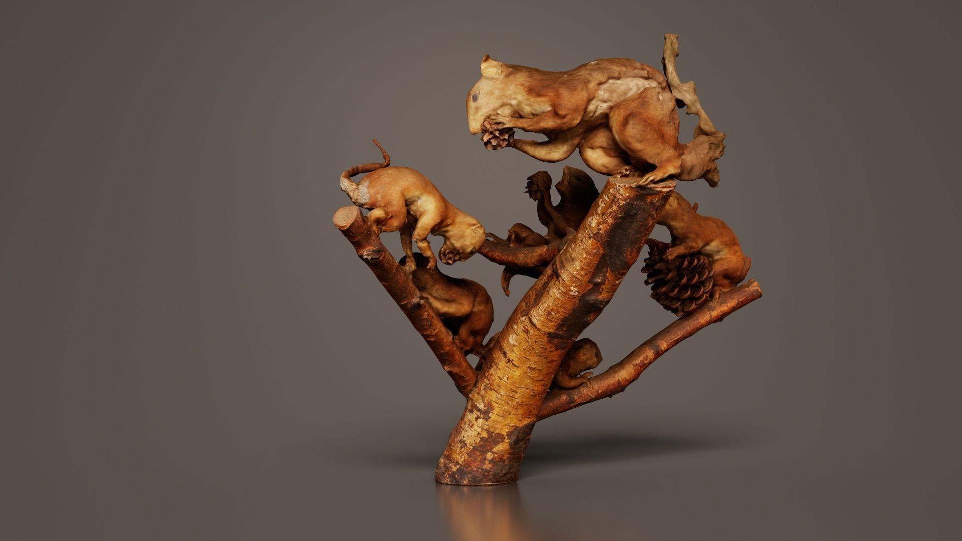 Squirrels on Branch Low-poly 3D model_1