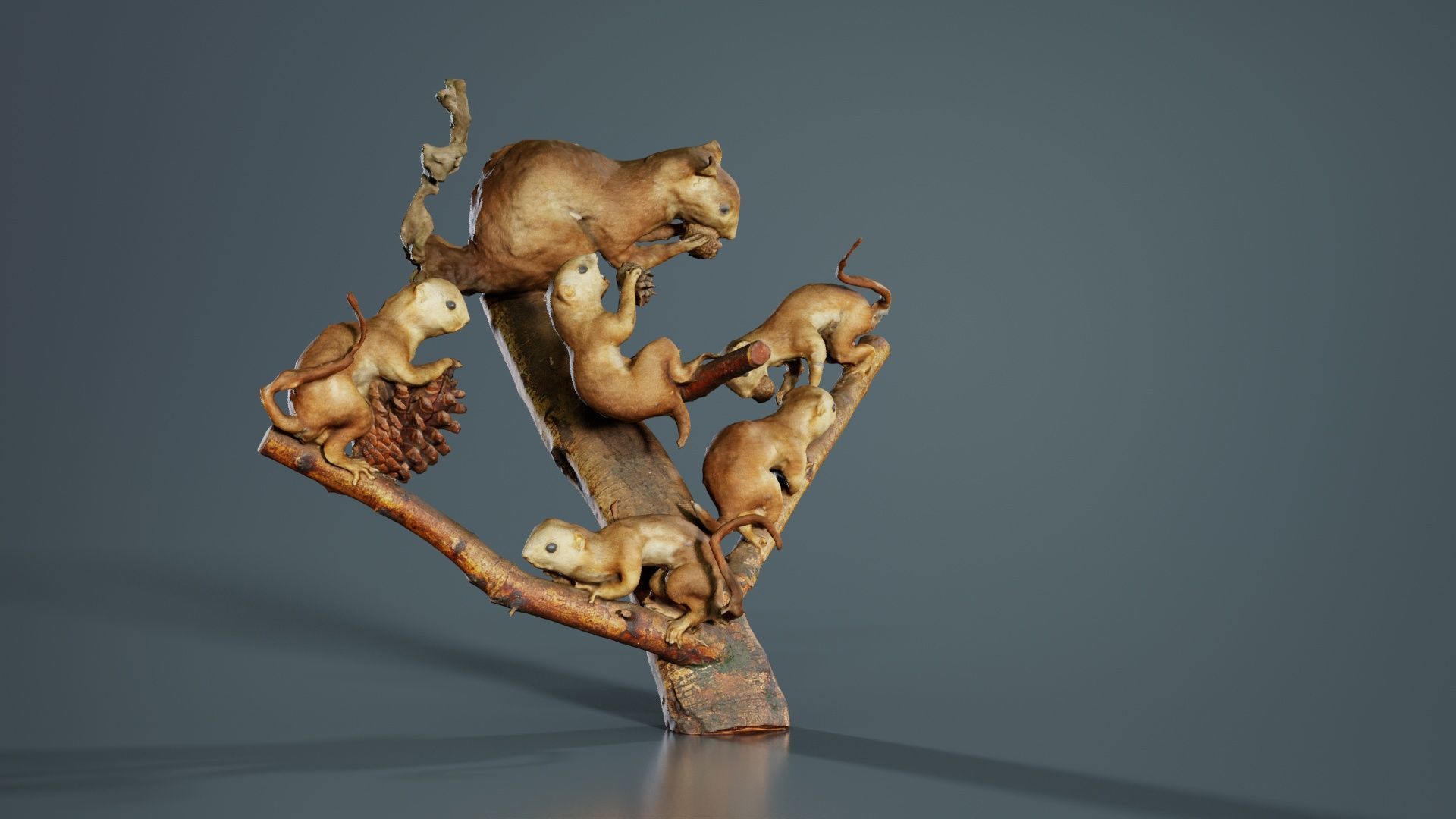 Squirrels on Branch Low-poly 3D model_6