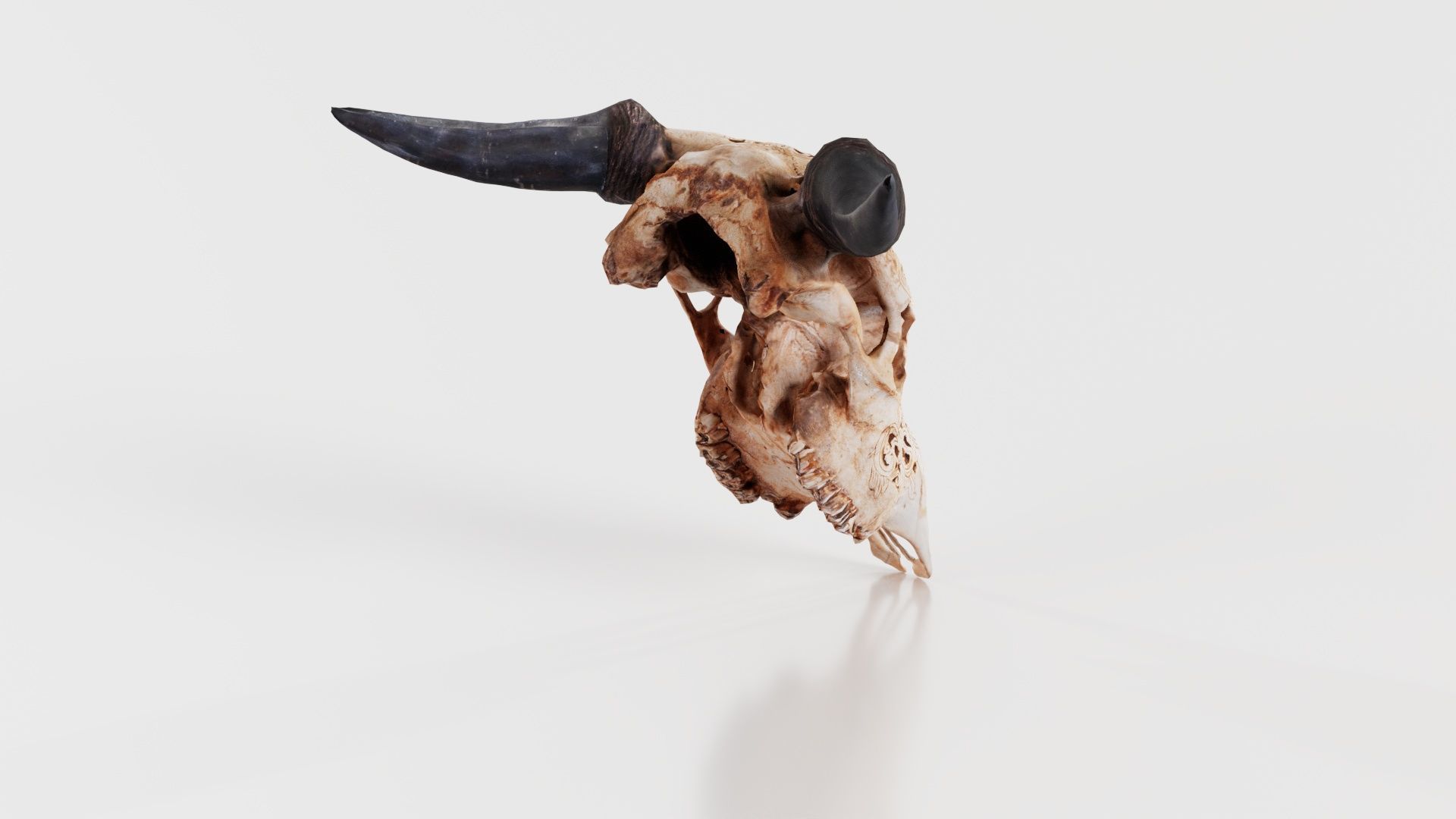 Decorated Goat Skull Low-poly 3D model_1