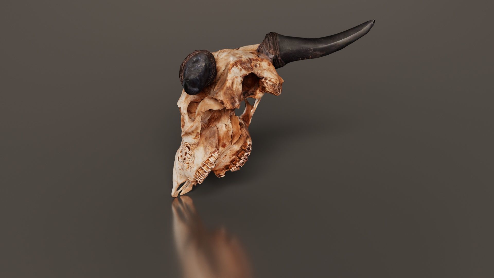 Decorated Goat Skull Low-poly 3D model_6