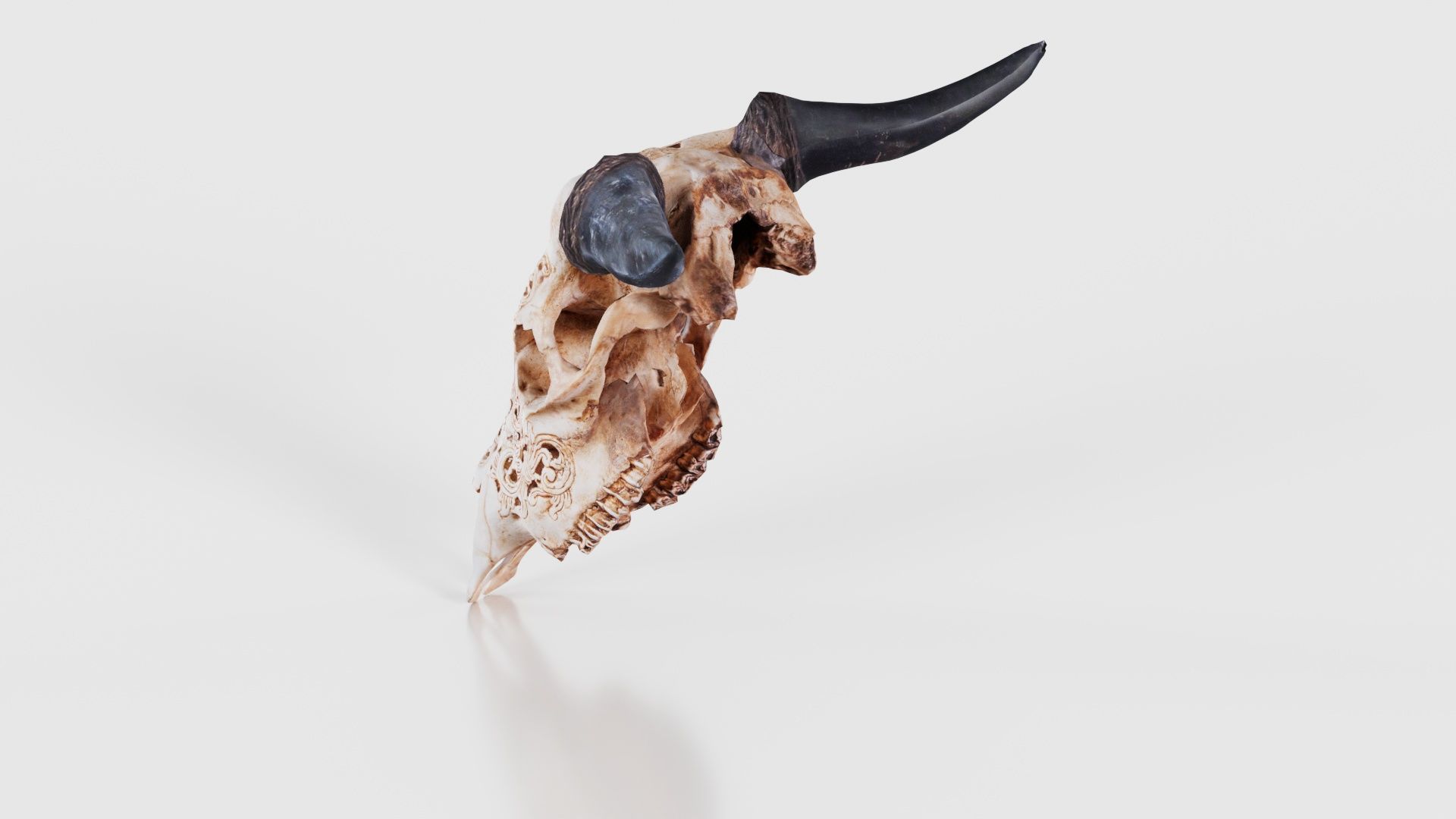 Decorated Goat Skull Low-poly 3D model_23