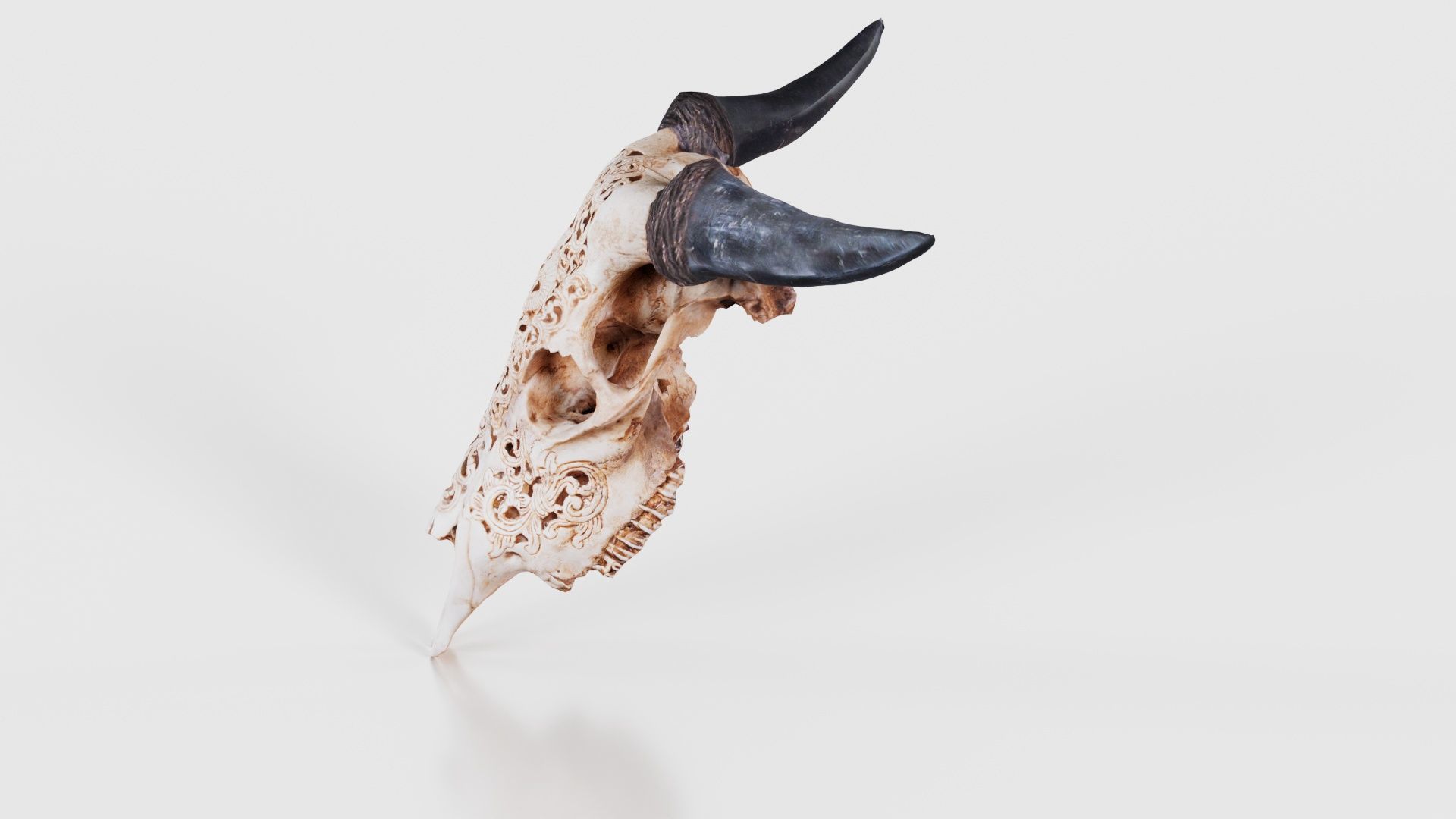 Decorated Goat Skull Low-poly 3D model_24