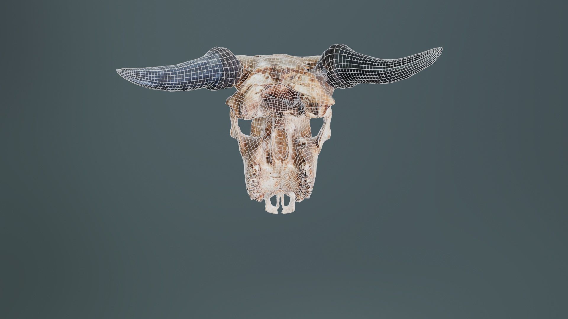 Decorated Goat Skull Low-poly 3D model_10