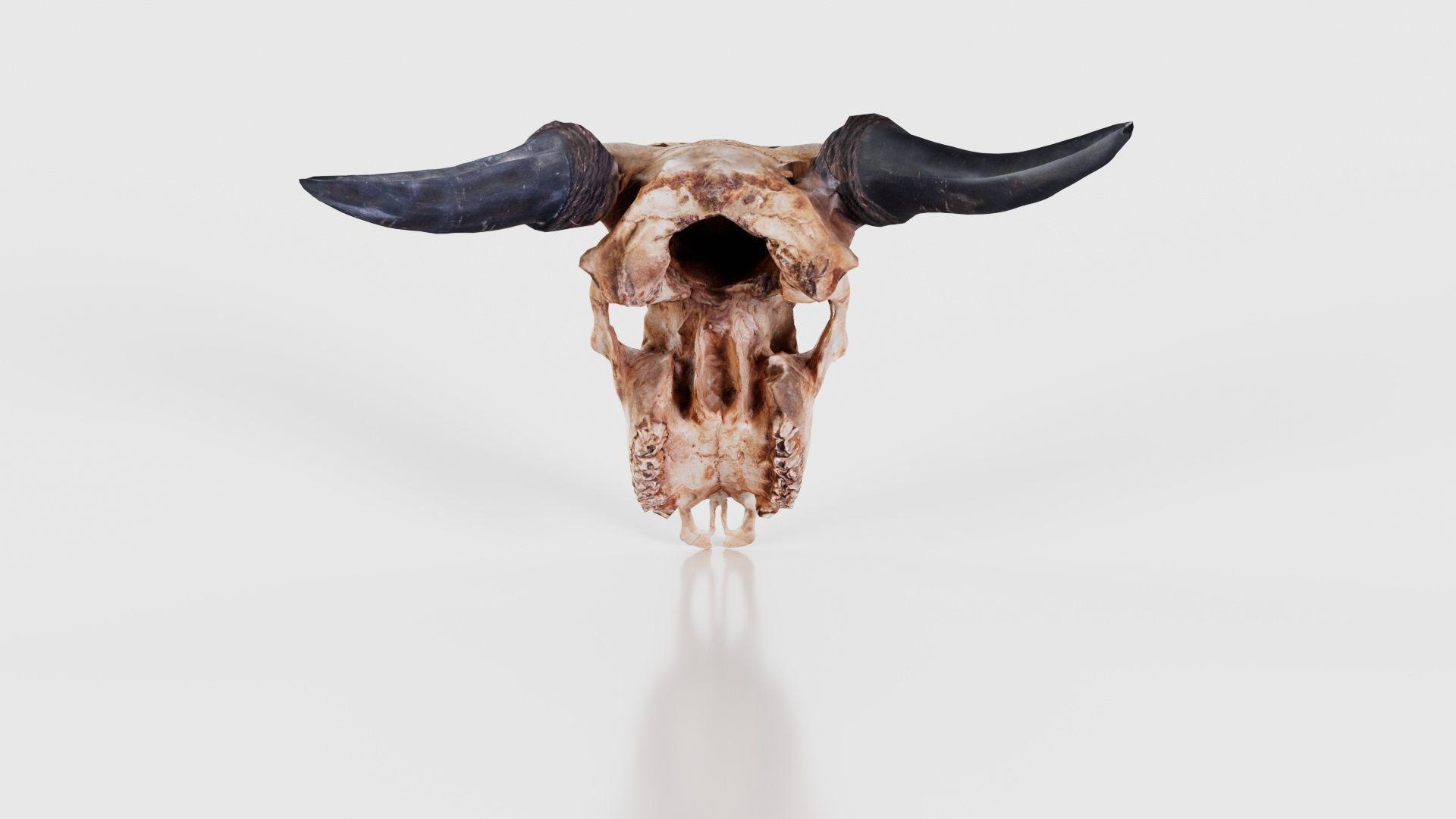 Decorated Goat Skull Low-poly 3D model_21