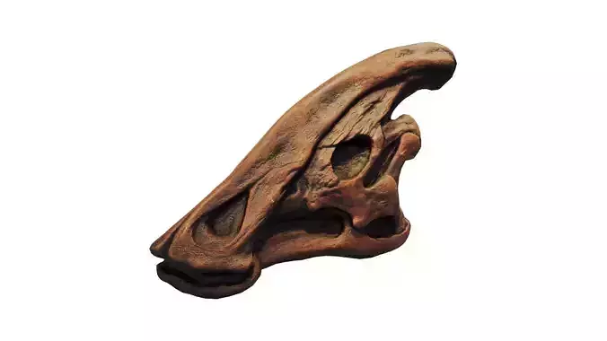 Dino Skull Low-poly 3D model